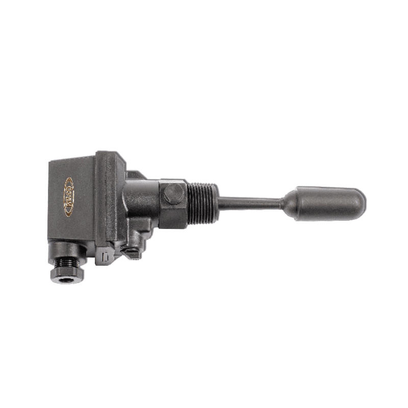 Side Entry Float Switches